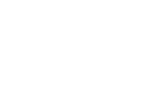 GT Service